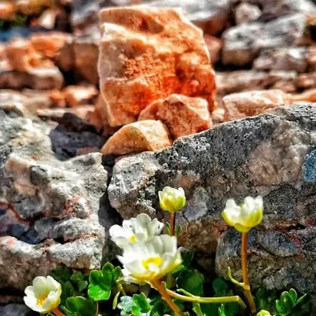 Rettenwender Lejlighed *