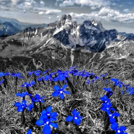 Lejlighed Rettenwender