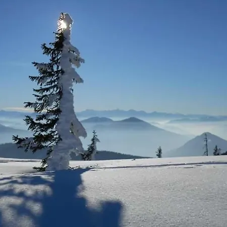 Lejlighed Rettenwender Filzmoos