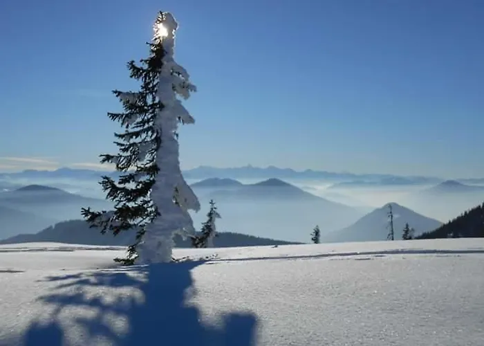 Daire Rettenwender Filzmoos