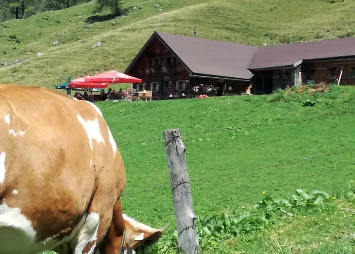 Rettenwender Daire Filzmoos