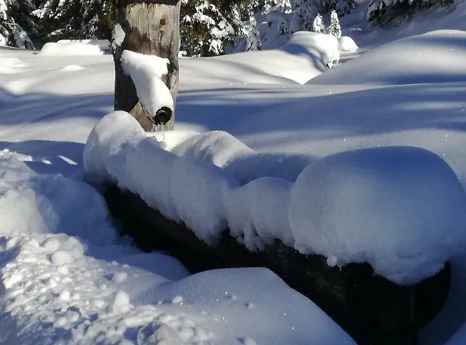 Rettenwender Daire Filzmoos